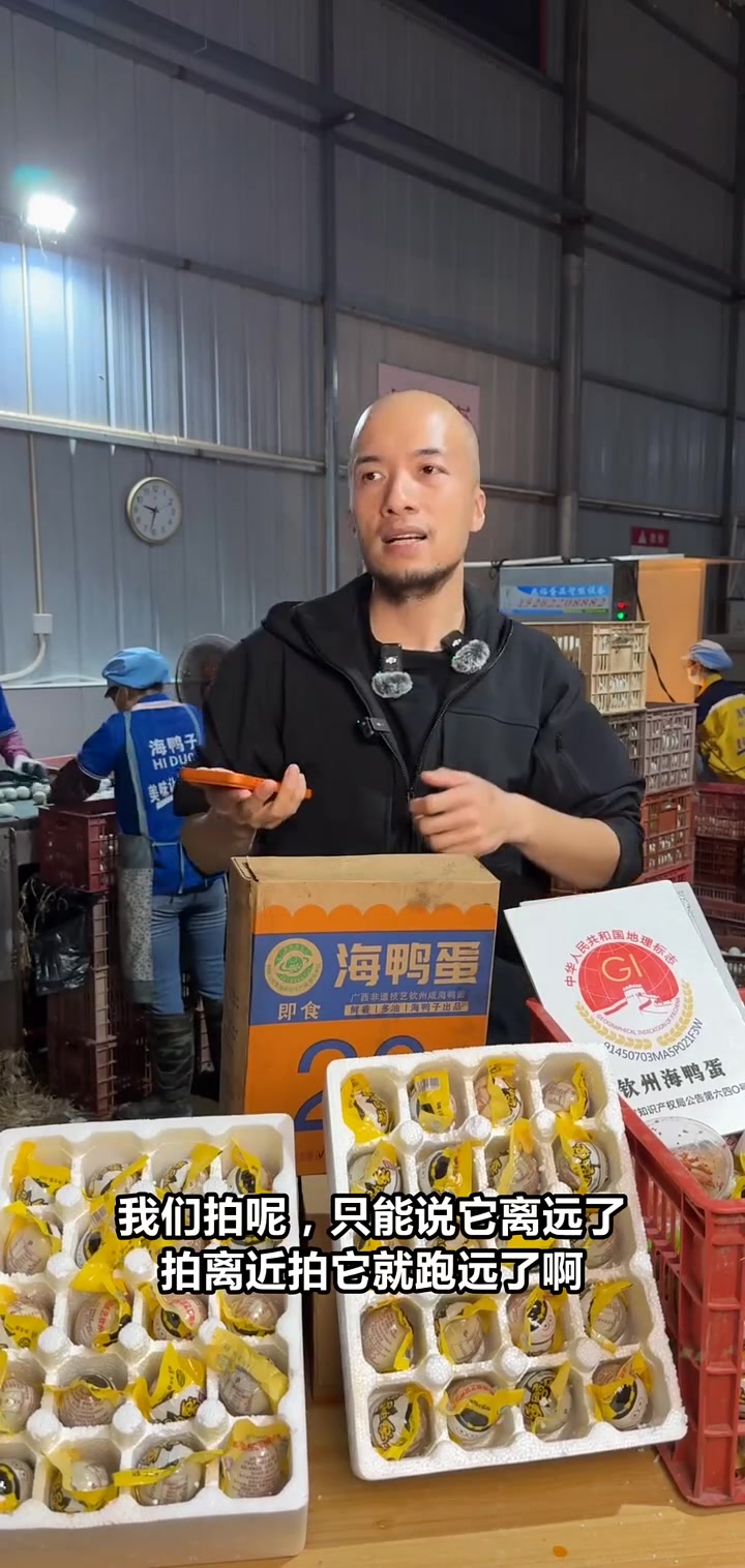 鸭子的幸福生活！海边压棚自由游泳，揭秘真实养殖日常！