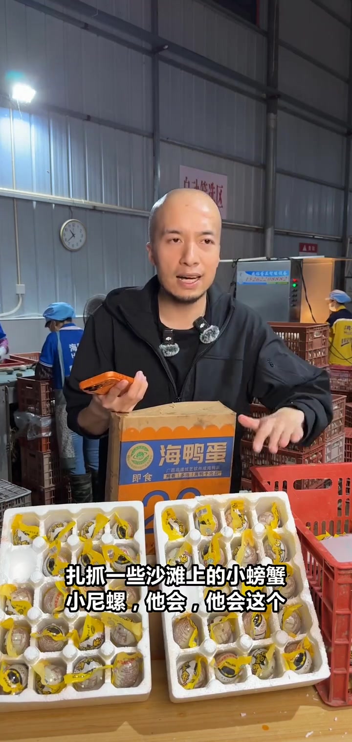 海边鸭子会游泳?揭秘海鸭觅食秘籍,小鸭子下水瞬间太神奇了!