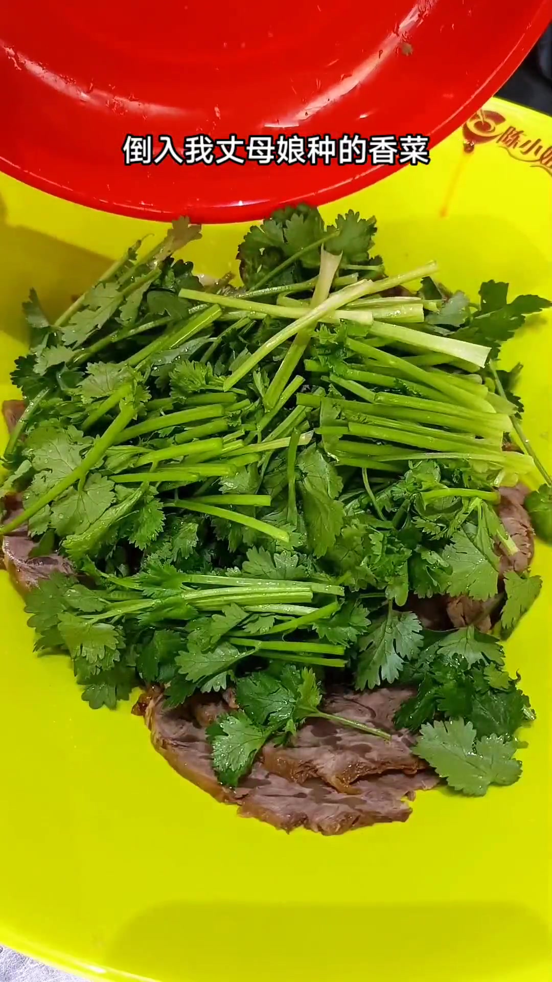 我们福州的一道金典凉菜,香菜拌牛腱子,你会做吗