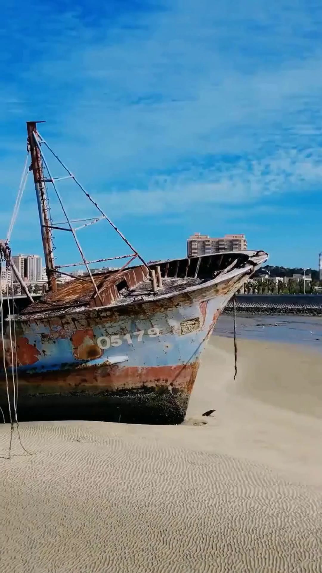 一口回到小时候的深沪鱼丸，为何能成为国家地理标志产品？