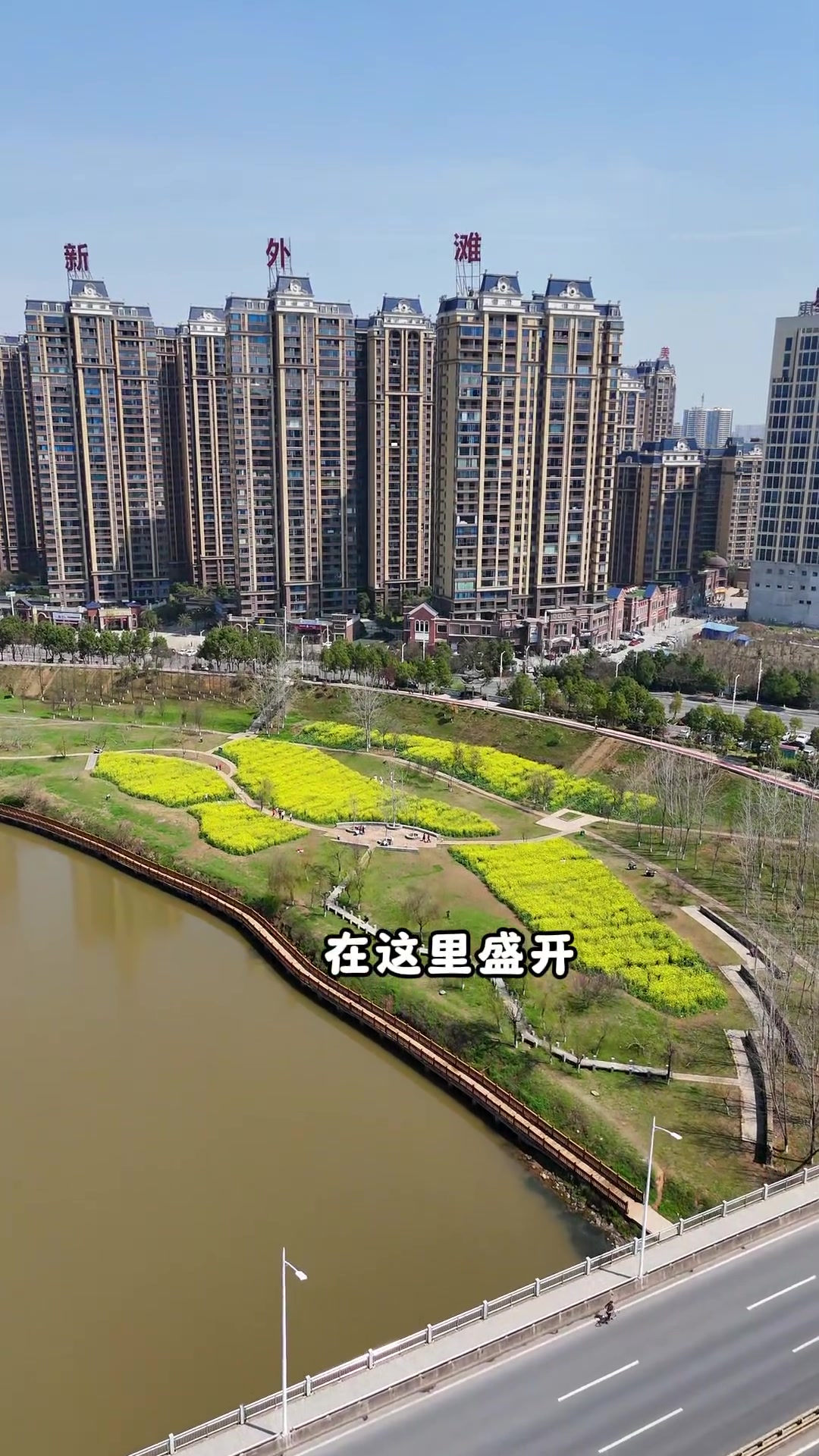 衡阳周末看油菜花的好去处都在这里啦