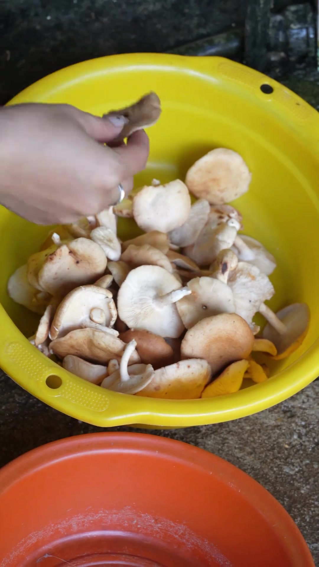 牙签肉好吃又下饭，就是做起来太费雪花肉啦