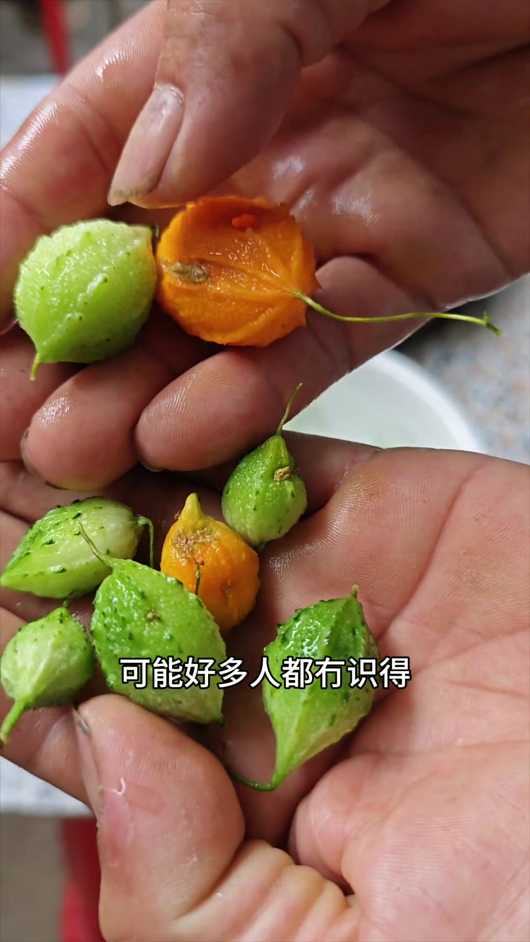 山苦瓜猪骨汤:适合喝的清凉靓汤