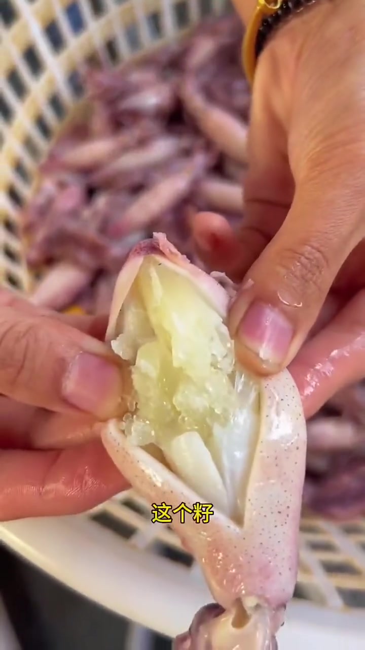 海兔炒辣椒,海兔炖豆腐太好吃了