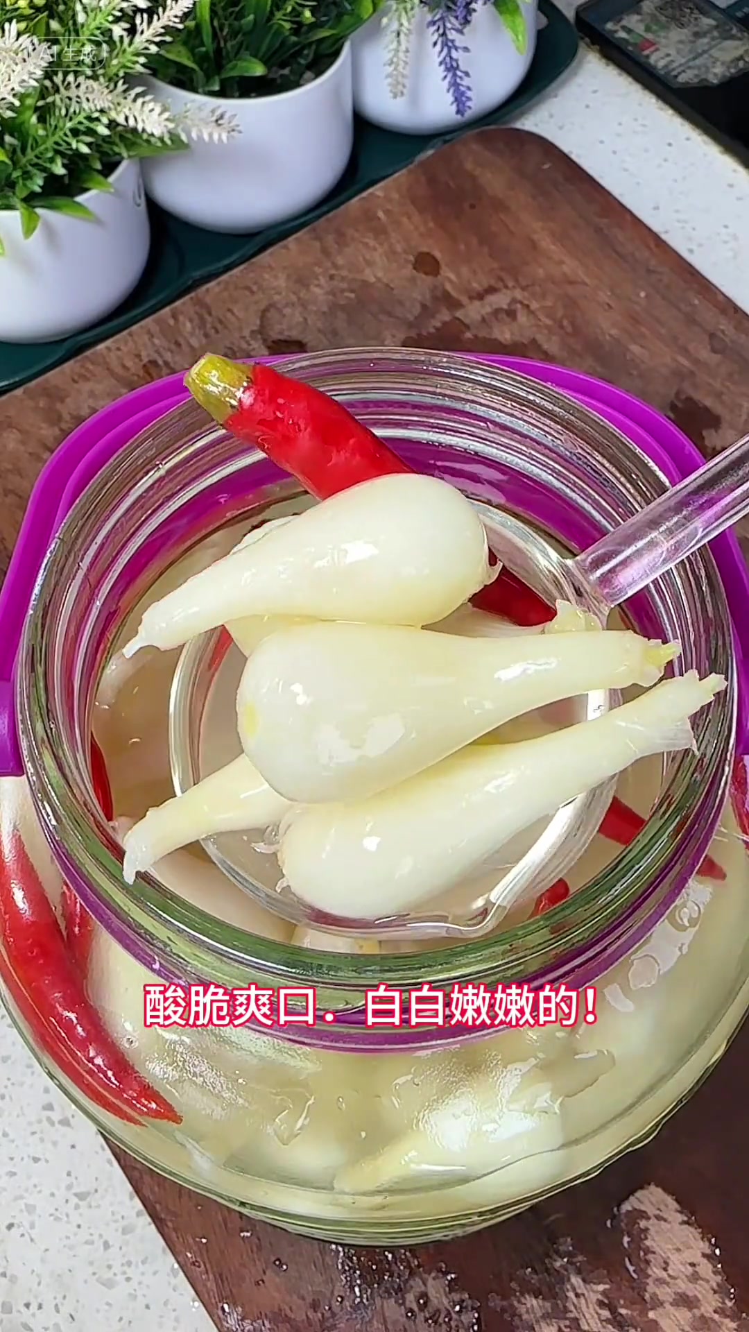 这样泡的酸藠头放一年都脆爽