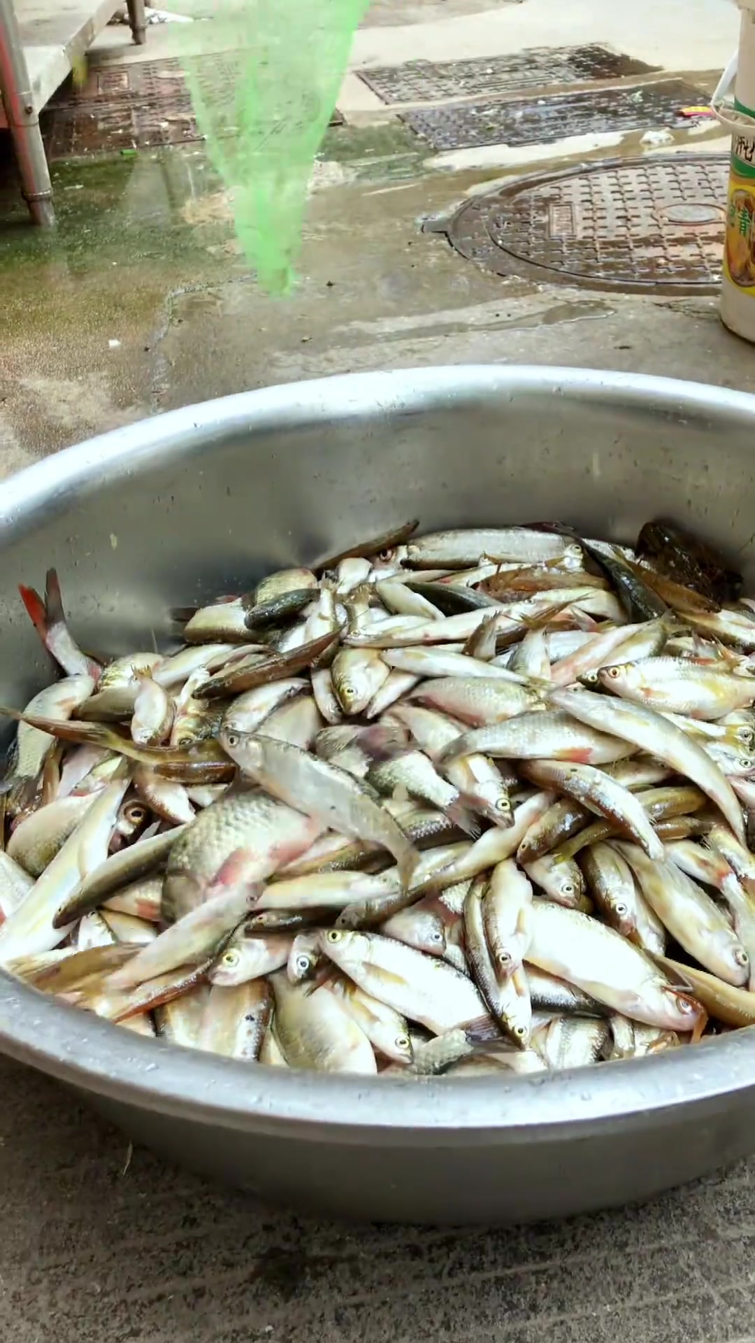 黄豆粒小鱼,小时候的味道