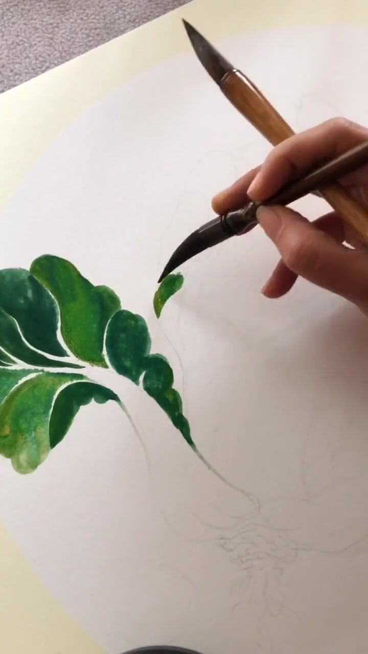 王老师国画白菜的画法