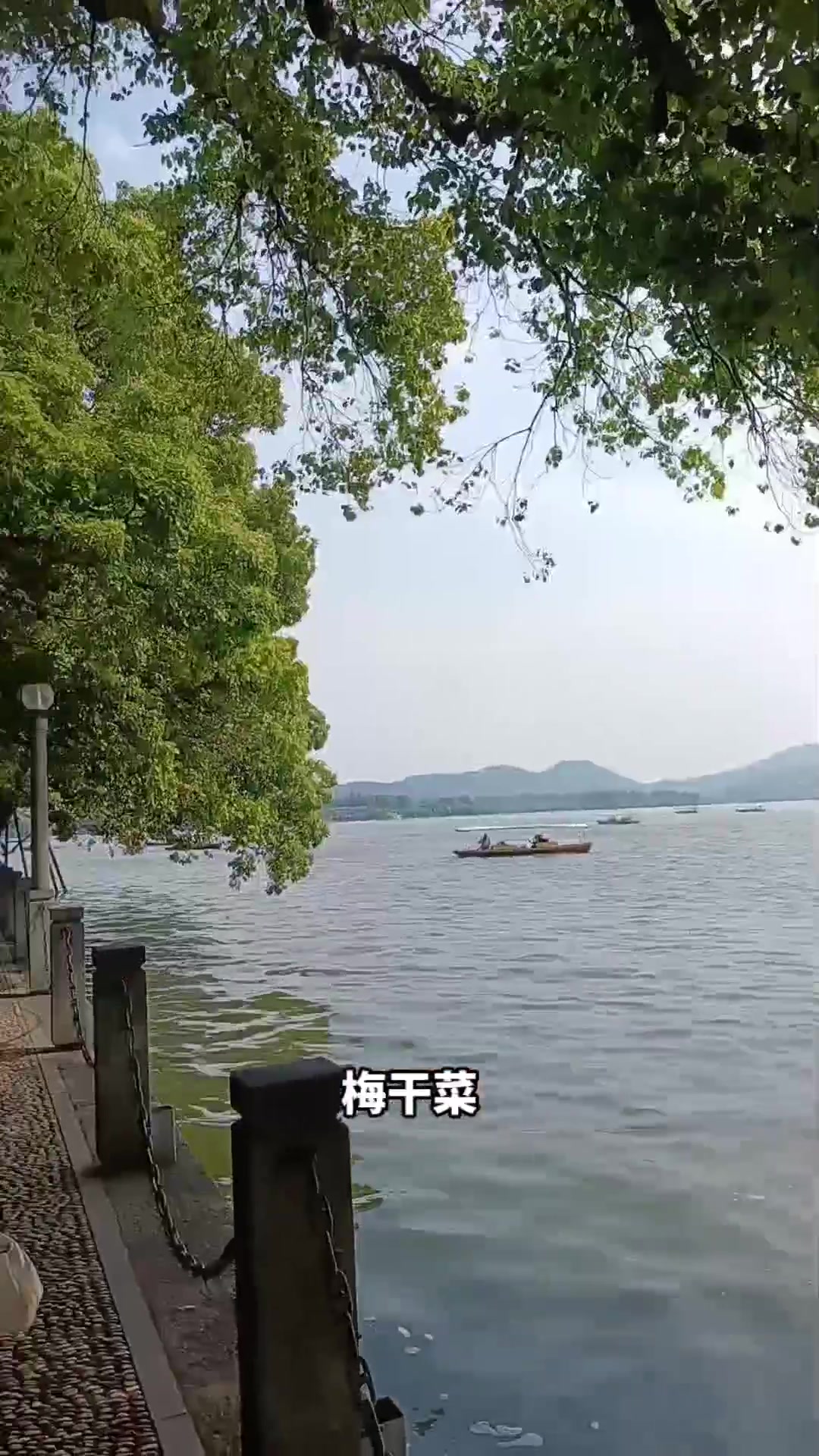 浙江小吃有哪些,嘉兴粽子、湖州馄饨、绍兴梅干菜