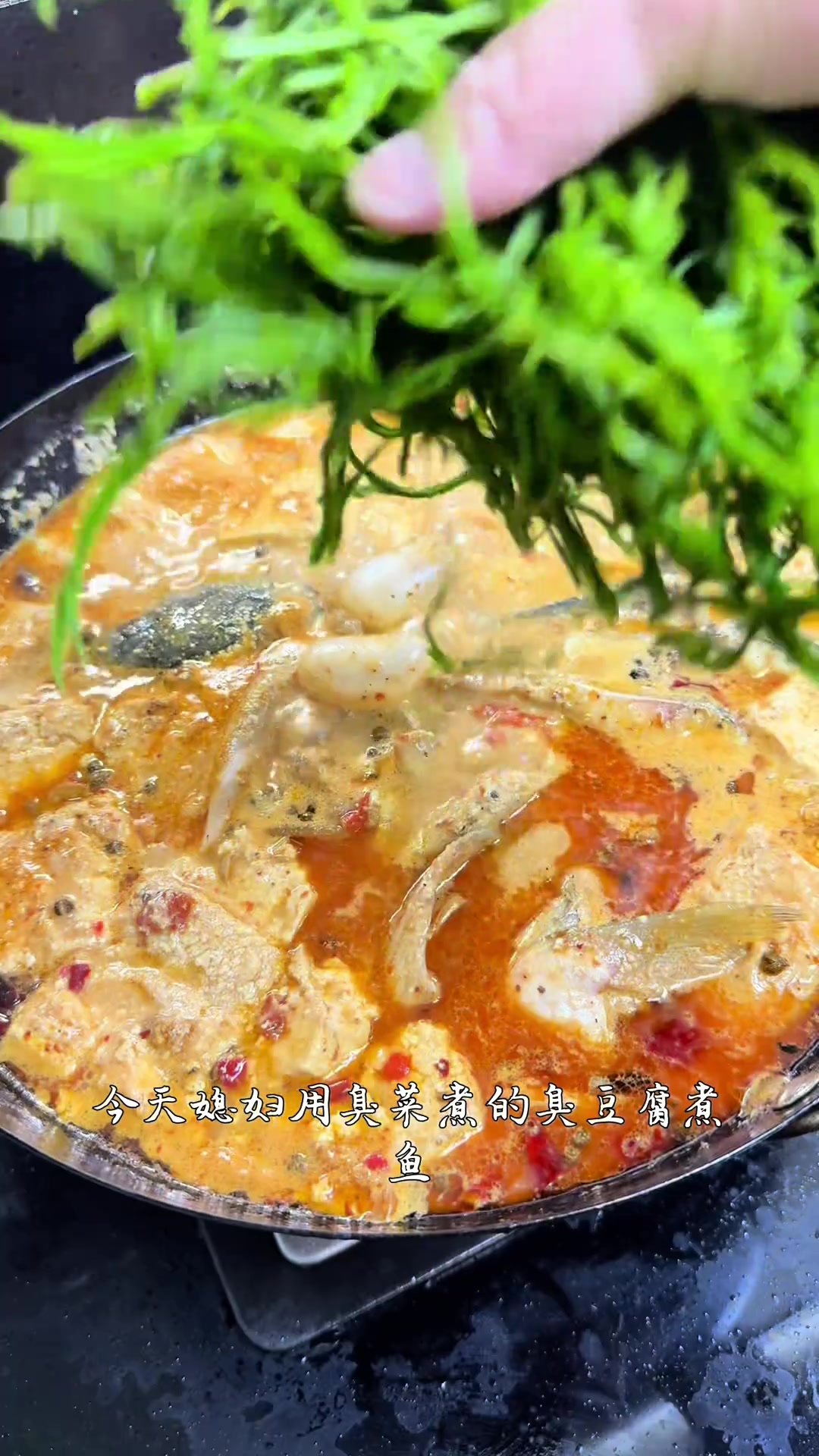 云南美食臭菜臭豆腐煮鱼