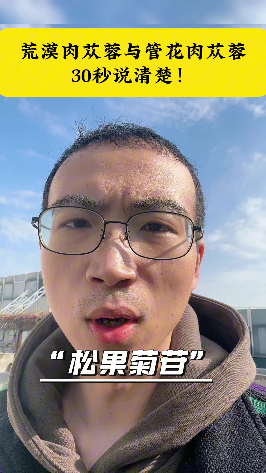 荒漠肉苁蓉和管花肉苁蓉,30秒说清楚!