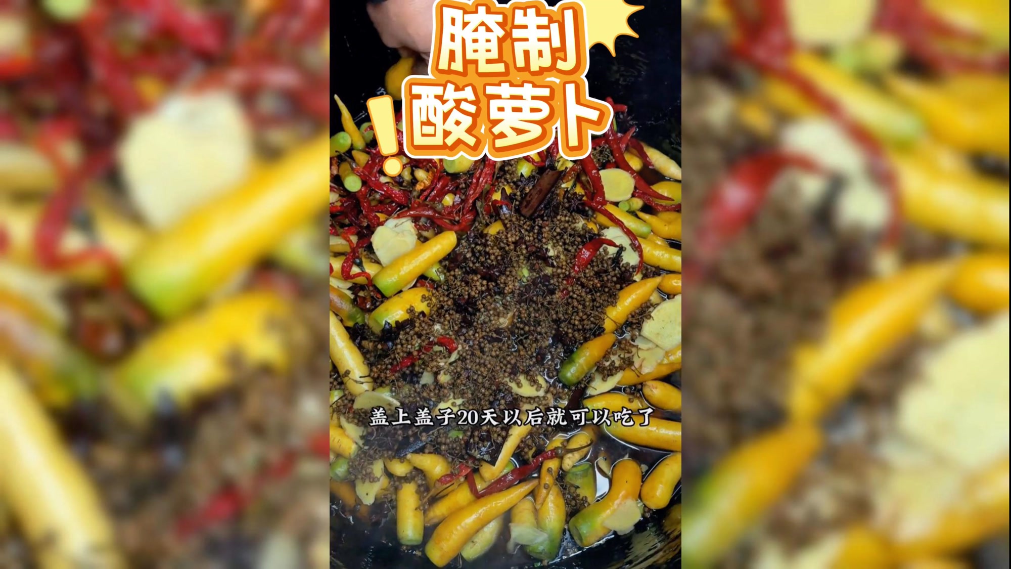囤冬菜 黄萝卜腌起来凉拌最香 黄萝卜也可以腌成咸菜
