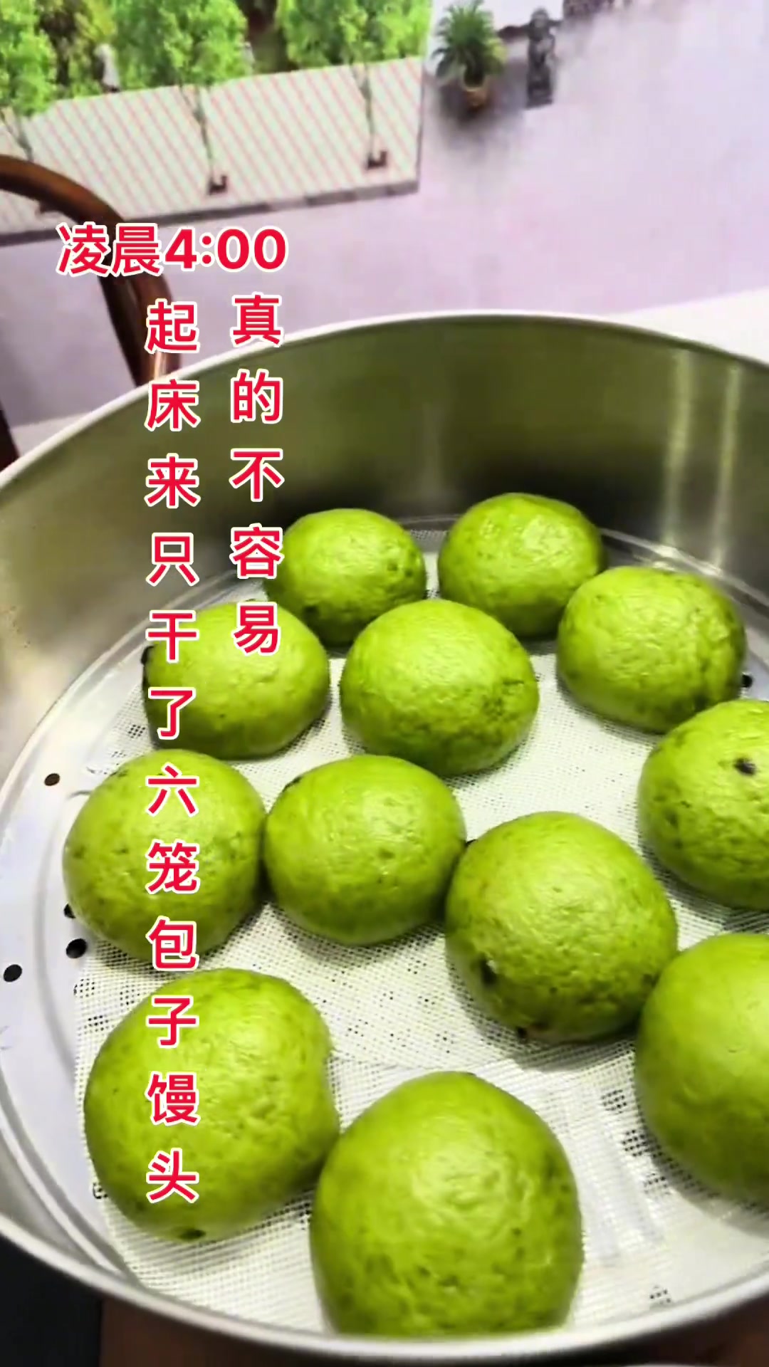美食分享:纯手工制作,天然野生艾草,艾叶包子黑米馒头咸蛋黄肉松艾糍粑约起来