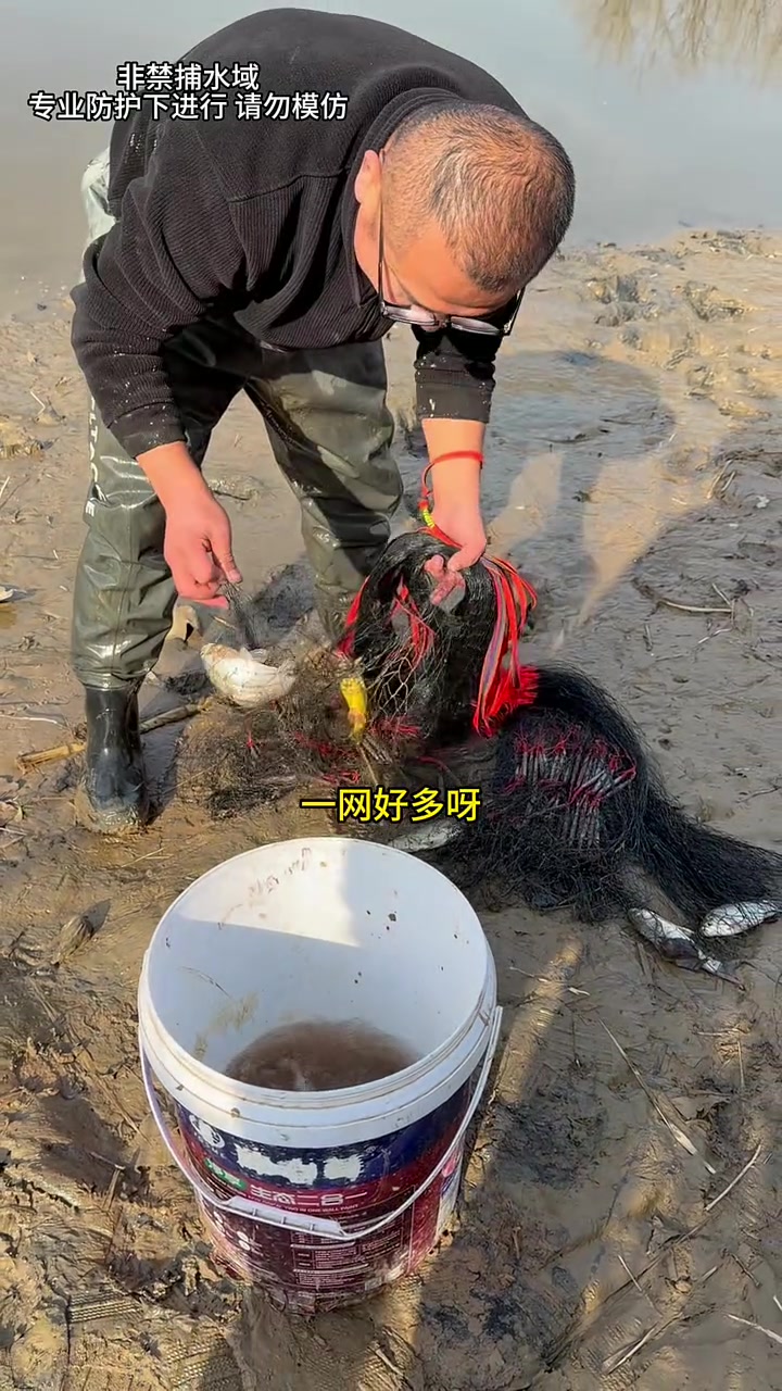 今天撒网捕鱼也算是夏日爆网了