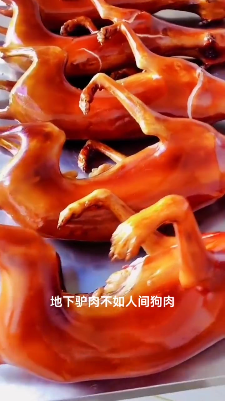 玉林荔枝狗肉节还存在吗
