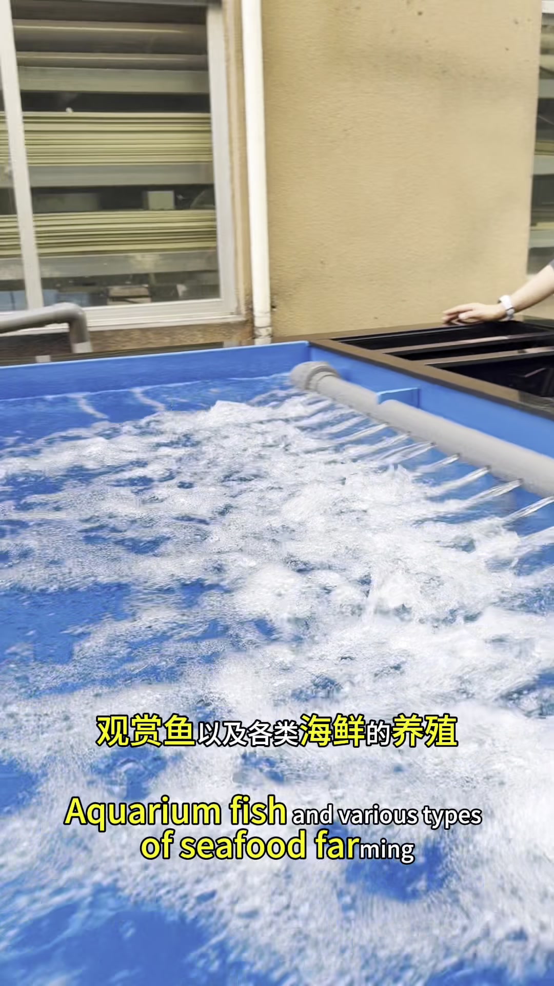 4*2*1.2特色双拼色方形池＋侧过滤系统#鱼缸#支持定制