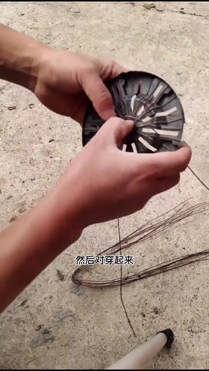 多肉老桩怎么种？也适用于浅盆盆景造型