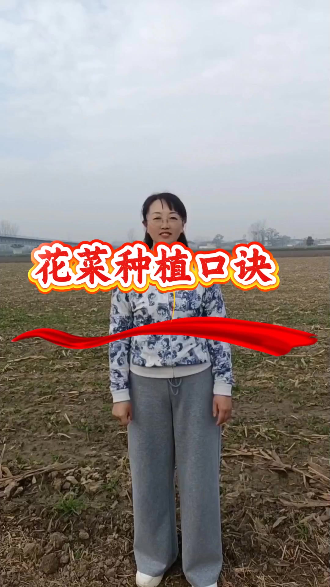 花菜种植口诀来了