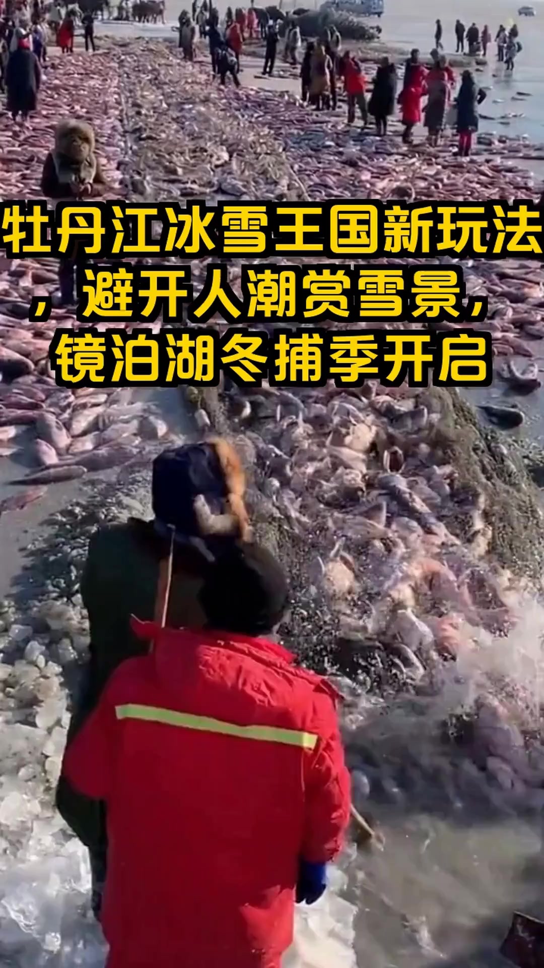 哈尔滨隔壁的牡丹江藏着冰雪秘境?镜泊湖冬捕季惊艳亮相!