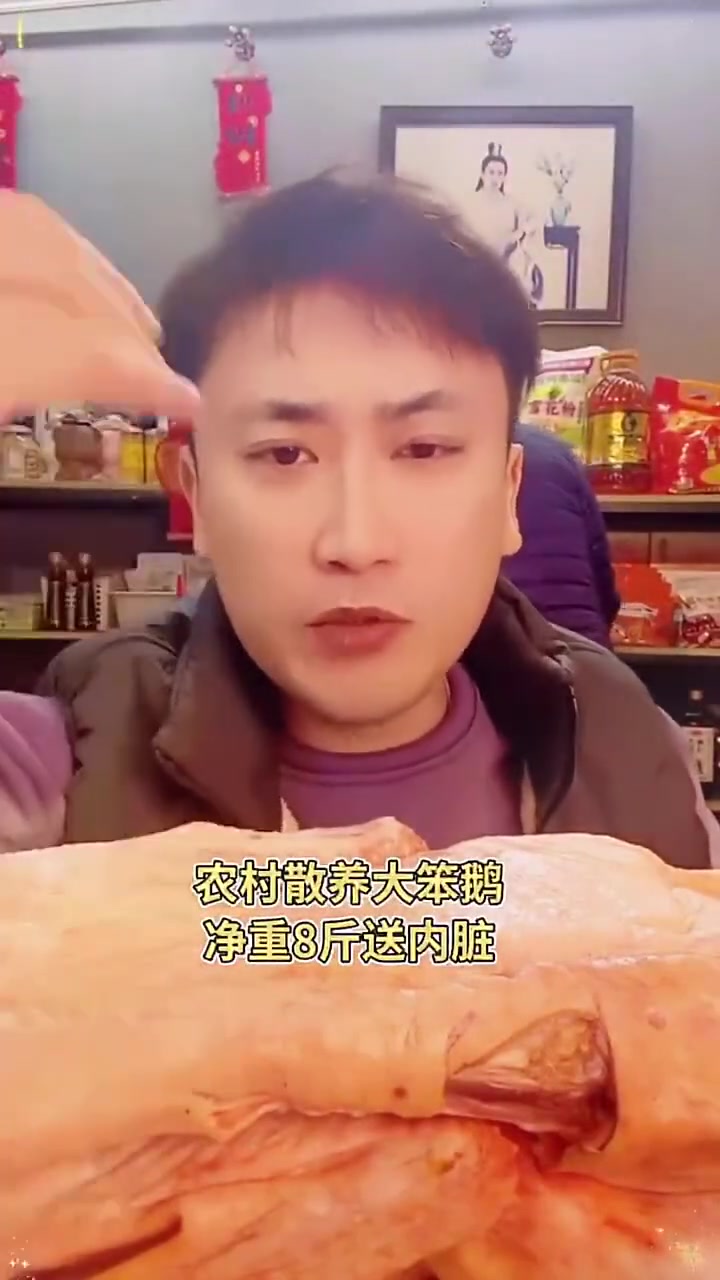 农家散养鹅