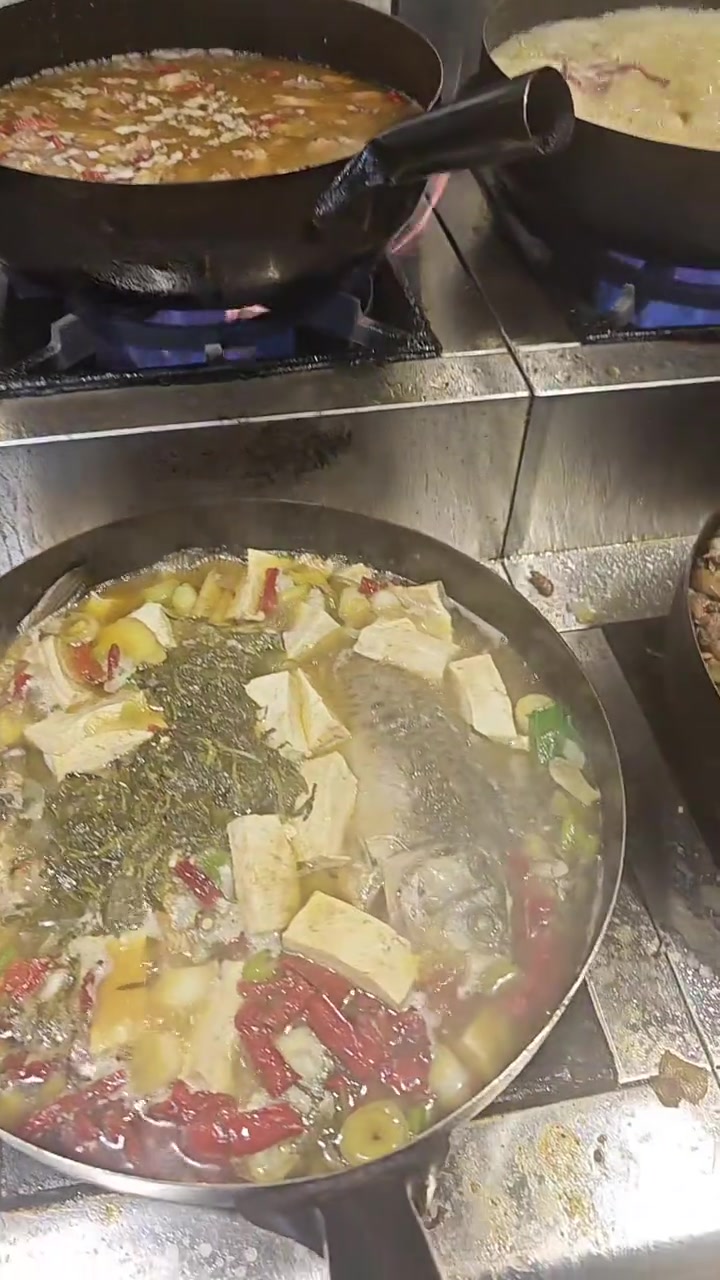 鱼的出现频率还是挺高的