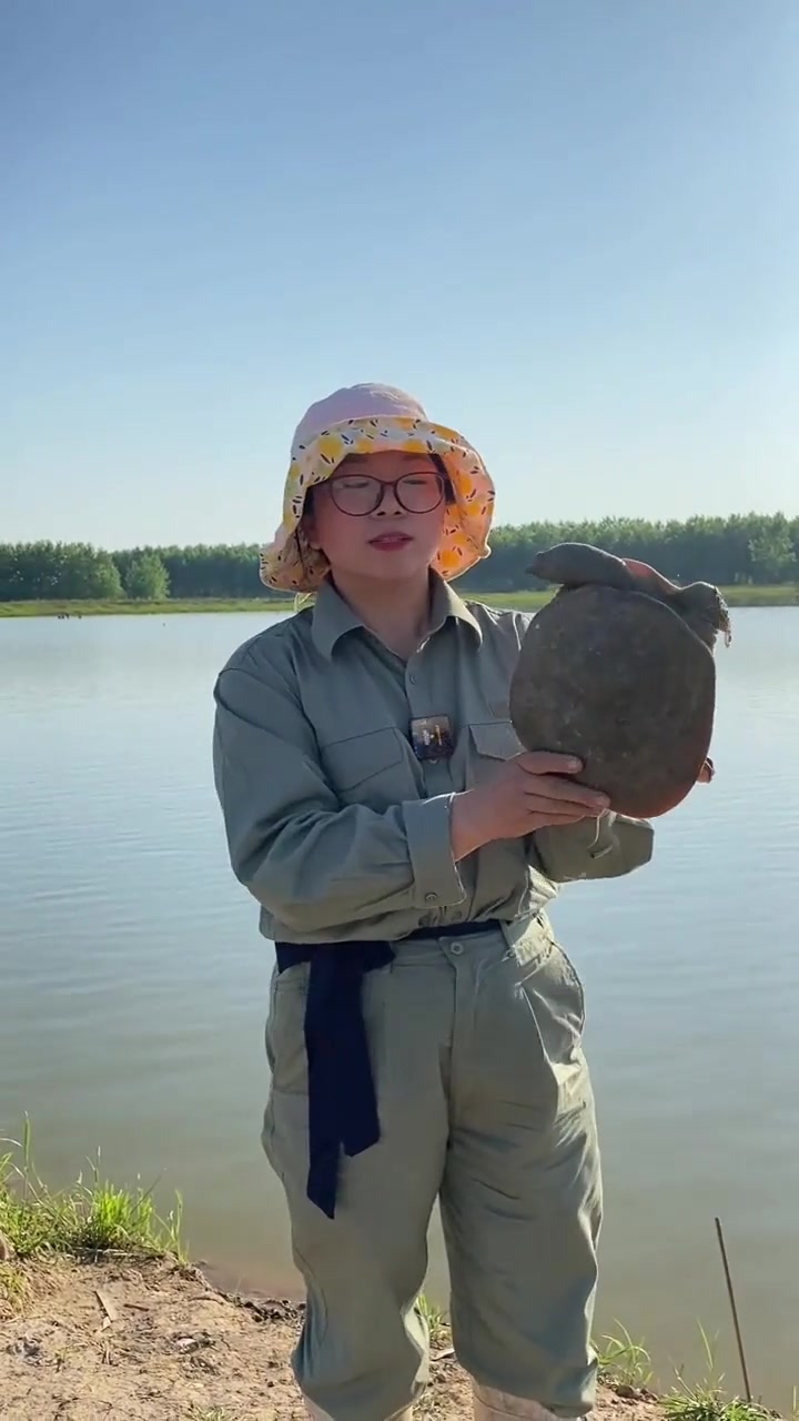 野生甲鱼和生态甲鱼的不同