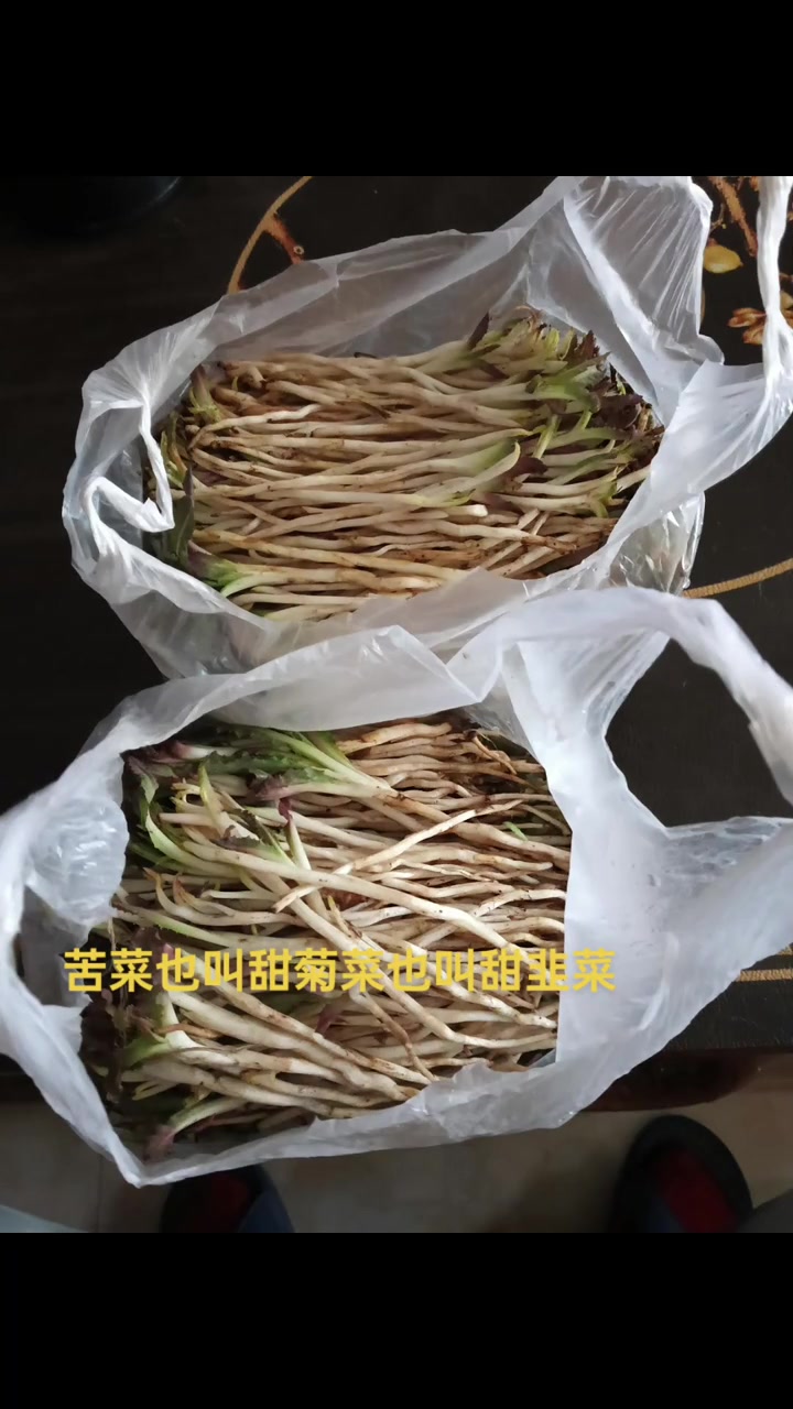 天然苦菜有助下火