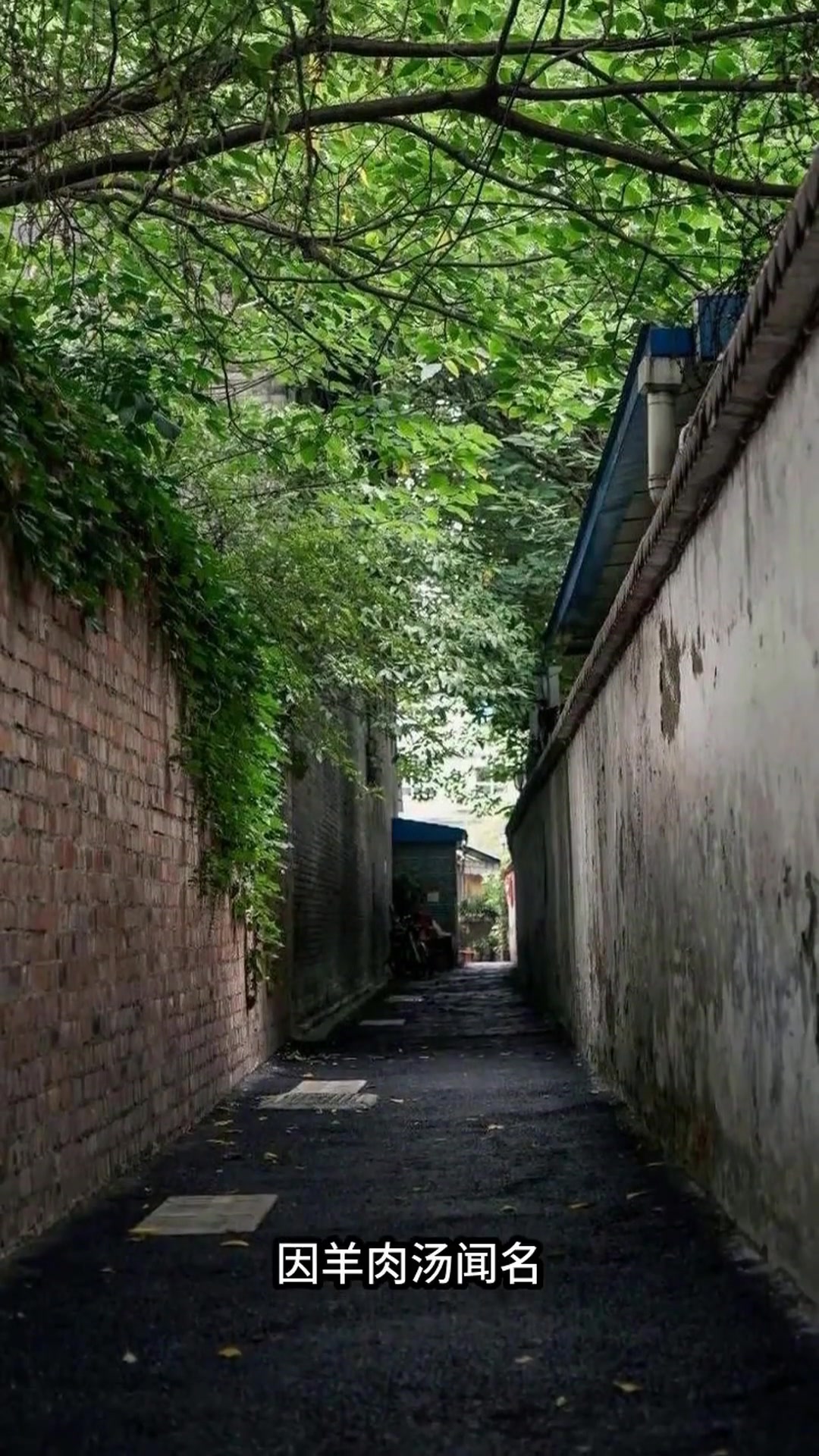 冬至夜成都羊肉汤价格飙升,吃货们排队两小时只为这一口暖意