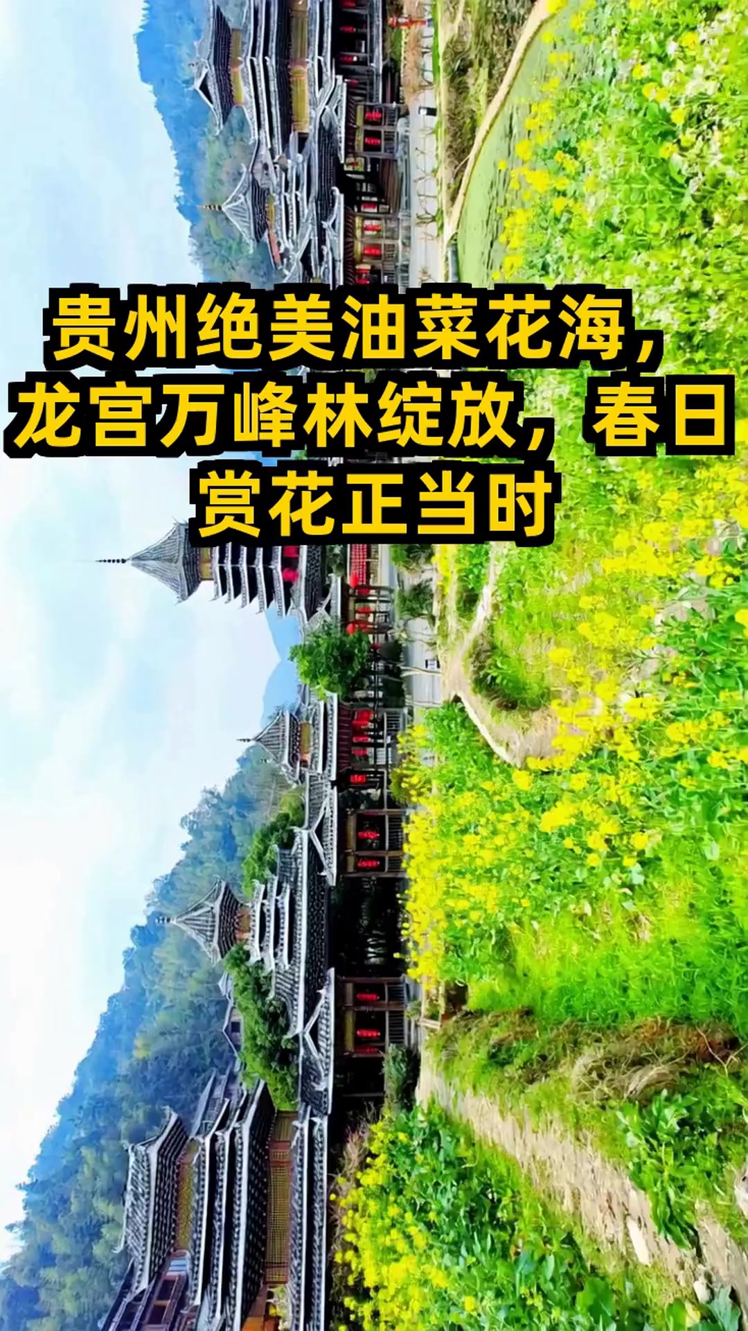 贵州油菜花海地图曝光!这些秘境美到窒息,你去过几个?