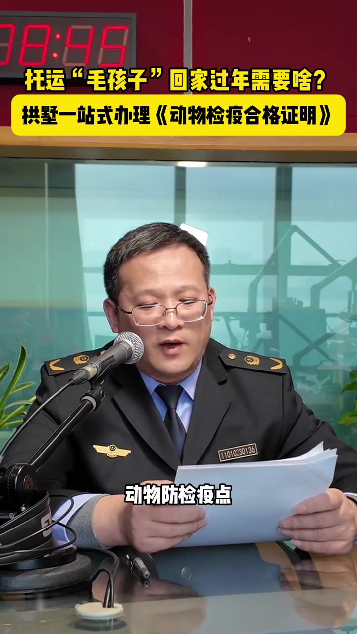 托运“毛孩子”回家过年需要啥?拱墅一站式办理《动物检疫合格证明》!#宠物 #宠物托运