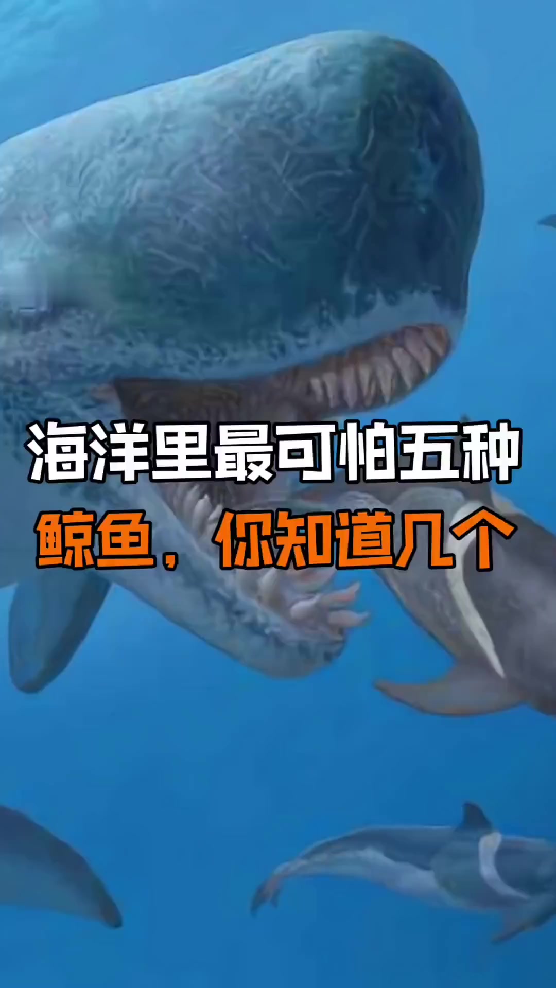 海洋里最可怕的五种鲸鱼、你知道几个