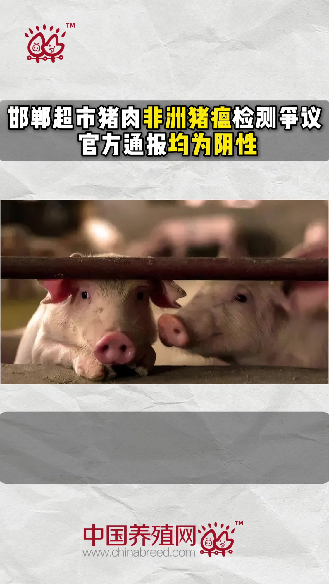 邯郸超市猪肉非洲猪瘟检测争议 官方通报均为阴性