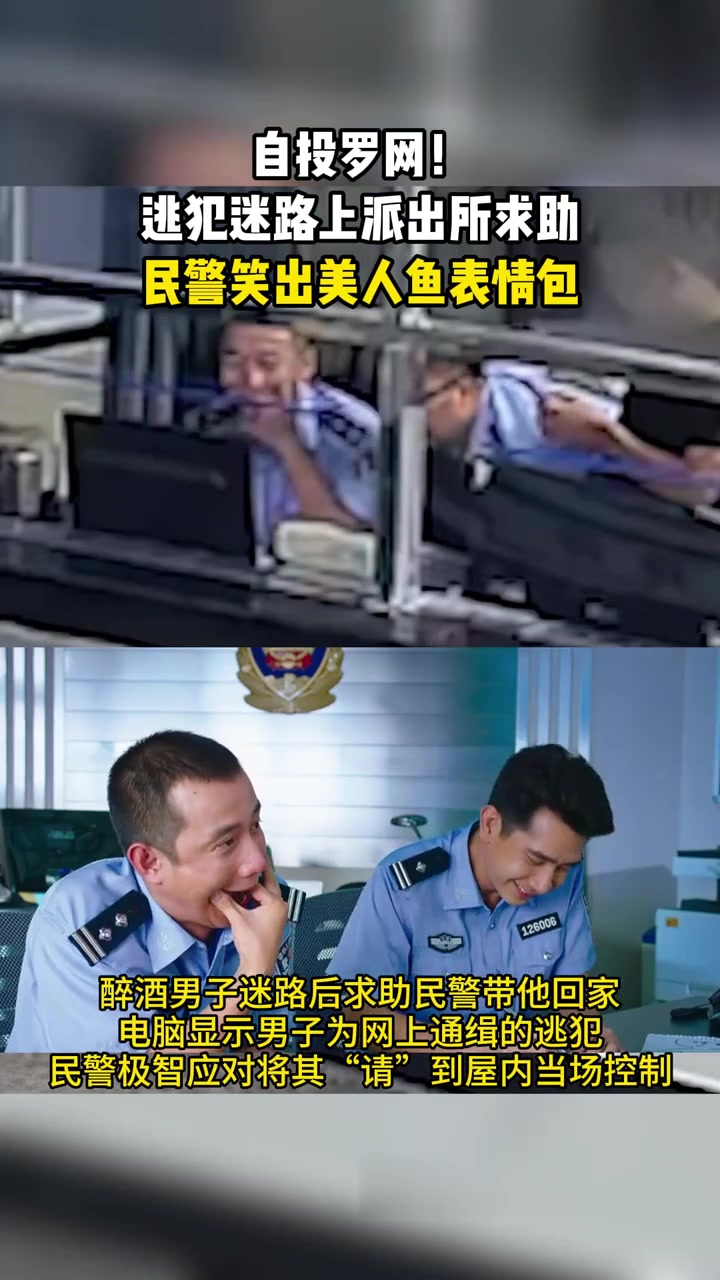 自投罗网！逃犯迷路上派出所求助，民警笑出美人鱼表情包