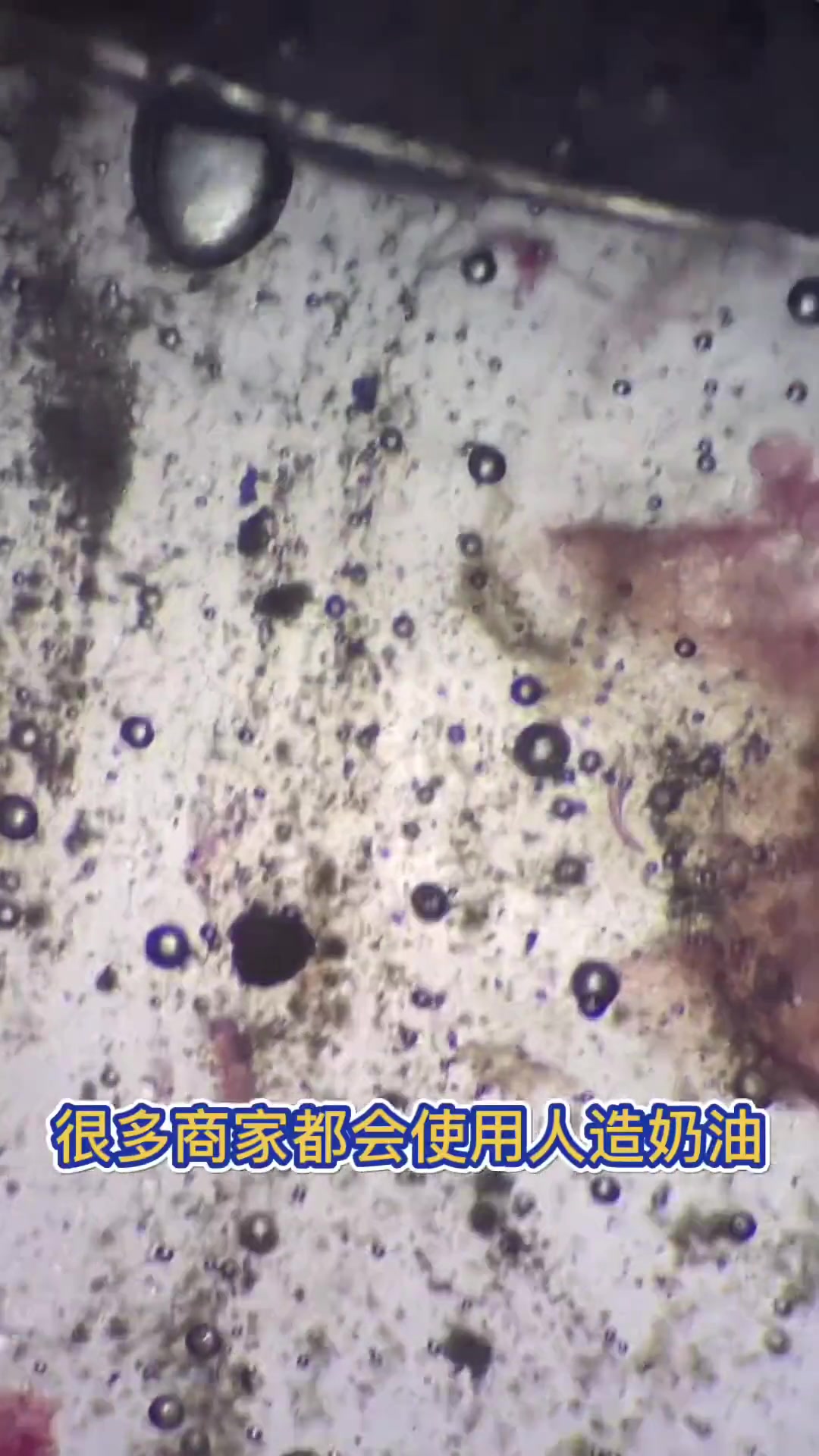 将奶油蛋糕放在显微镜下