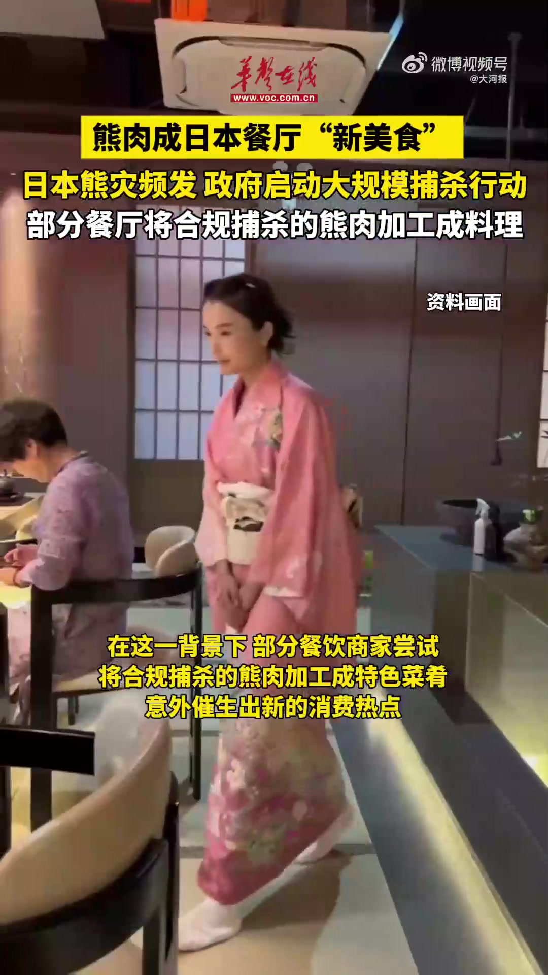日本前所未有的熊尸危机 熊肉成日本餐厅新美食