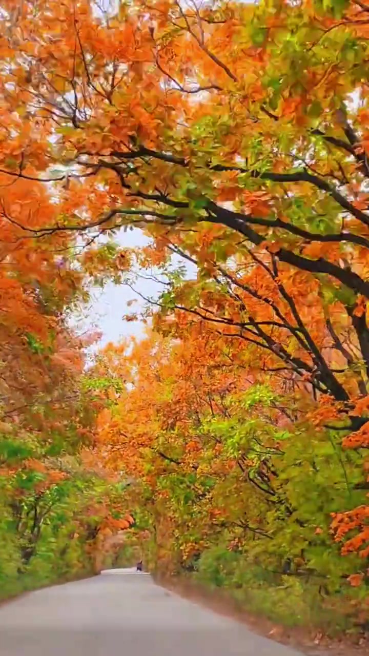 静静地欣赏黑龙江省鸡西市密山市兴凯湖湖岗公路风景