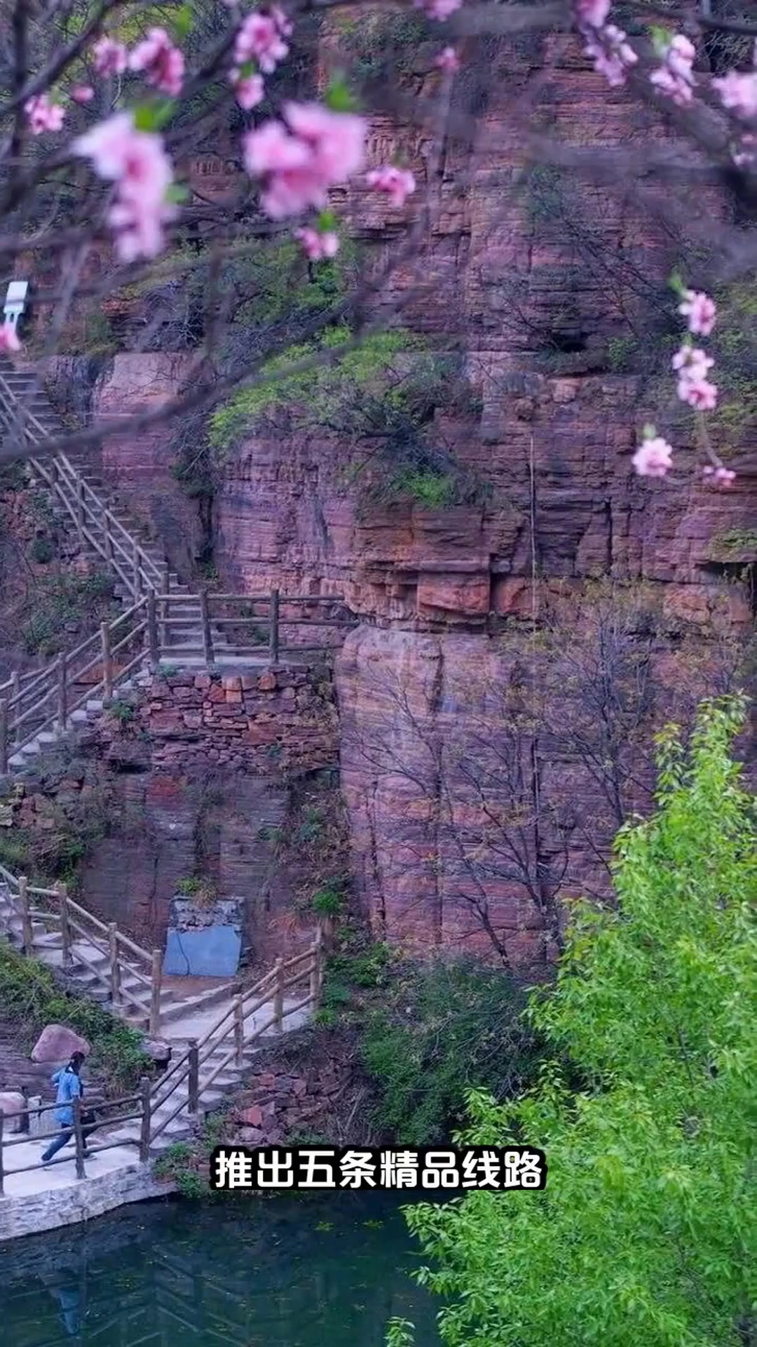 寒潮来袭!河南冬季旅游如何保暖?天鹅湖畔的温暖等你发现