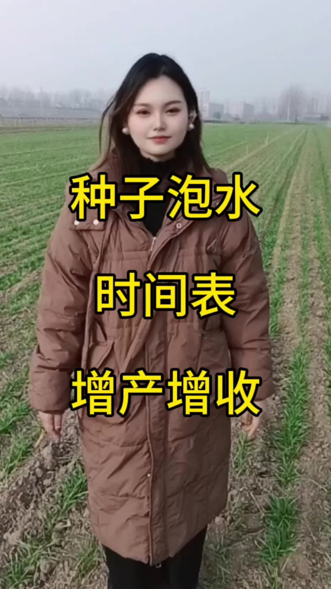 种子泡水时间表助力增产增收!