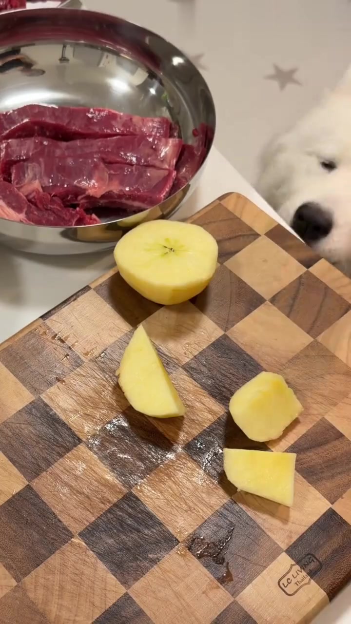 冬日限定两狗一猫圣诞灵感菜单牛肉饭