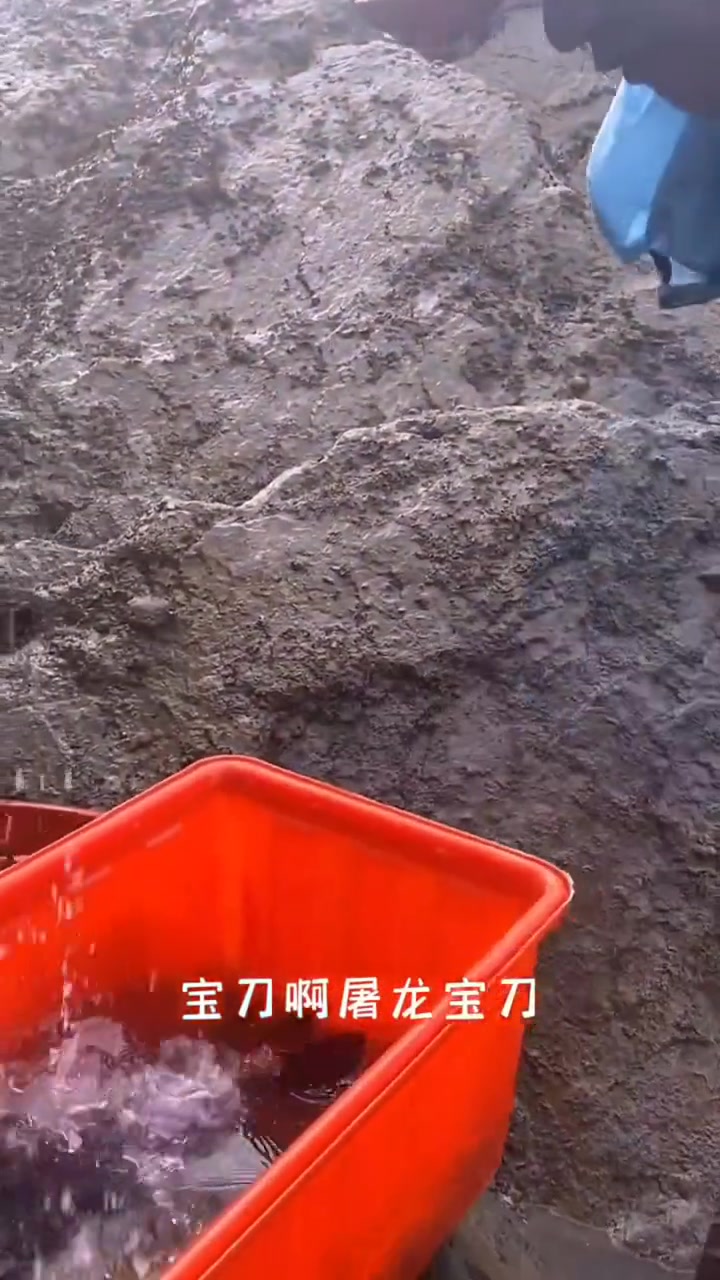 绿博黔南寻美荔波