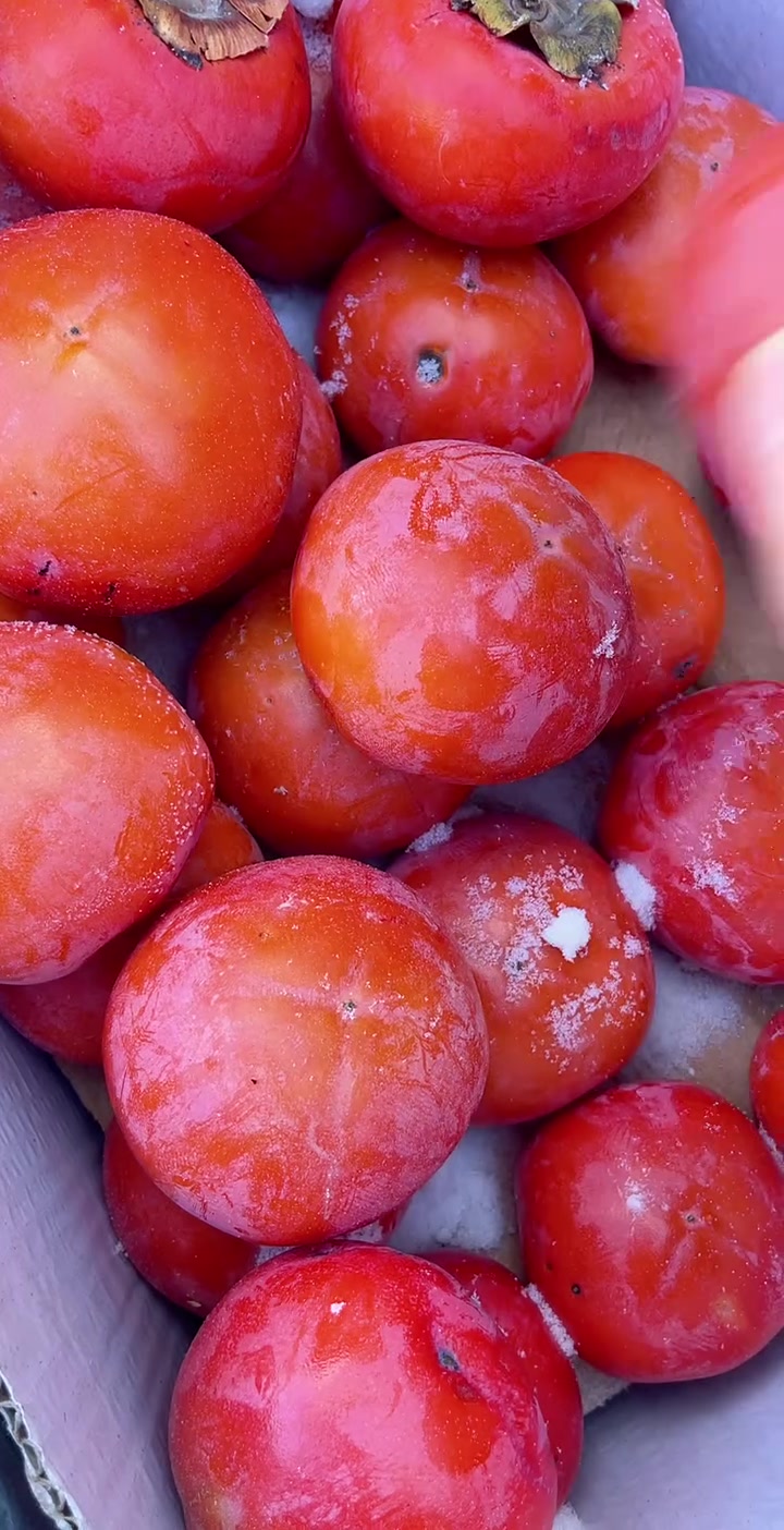 冻脆皮柿子 非常甜 很好吃 缓化以后软甜 一单五斤装大小随机发货