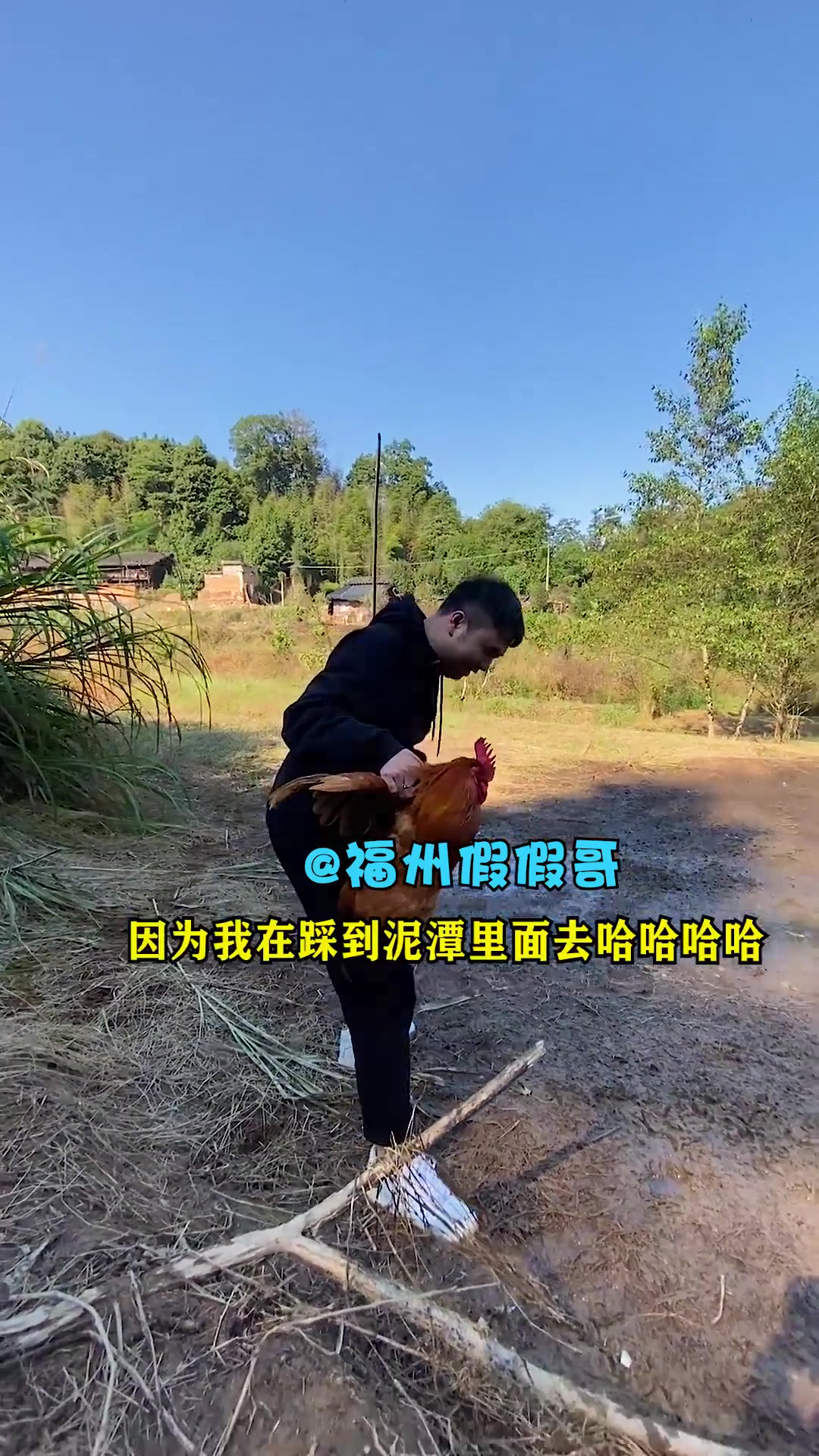 大嘴去高仕土灶深山养鸡场，与正宗跑山鸡battle