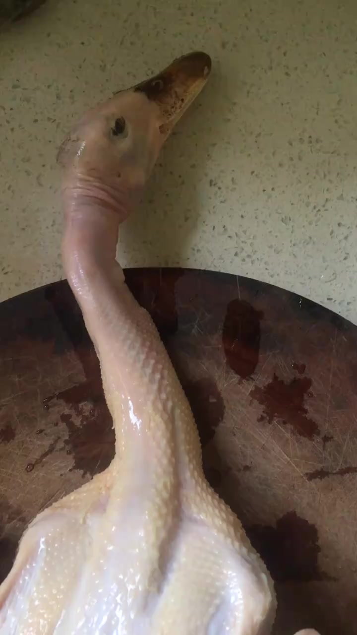 炖一锅酸菜老鸭汤,汤鲜味美真巴适