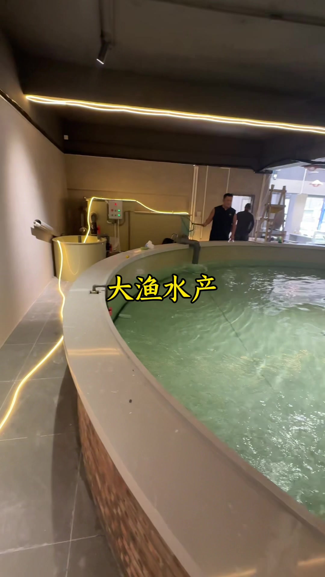 直径6米圆形钓虾池安装完成#钓虾#鱼池#源头厂家直供