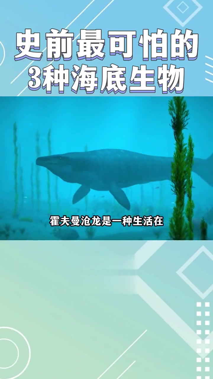 史上最可怕的3种海洋生物，巨齿鲨的天敌是什么