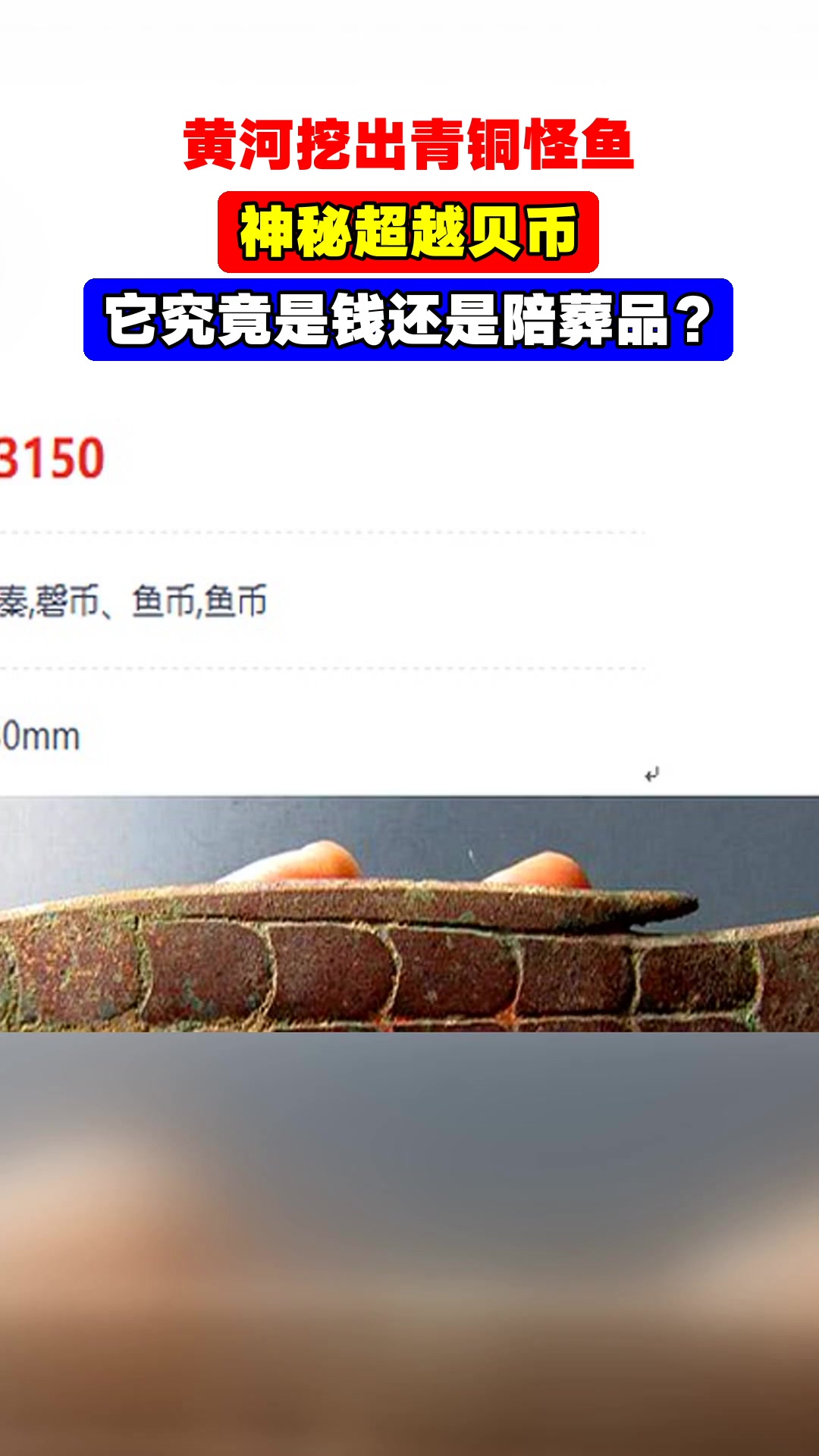 黄河挖出青铜怪鱼,神秘超越贝币,它究竟是钱还是陪葬品?