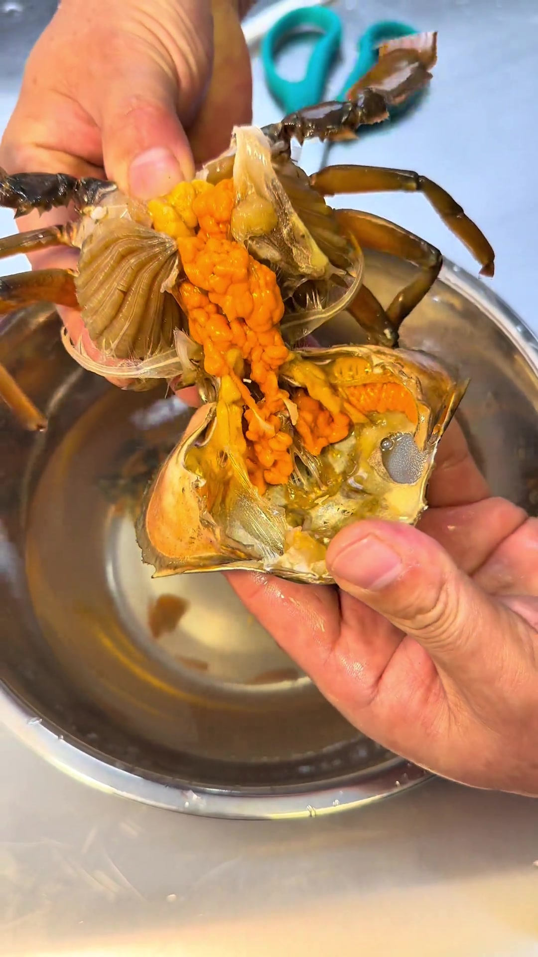 潮汕生腌青膏蟹的冷菜教学一款口味好成本高的适合会所的冷菜郎吕学鹏冷艺《吴亮》冷菜教学福临(