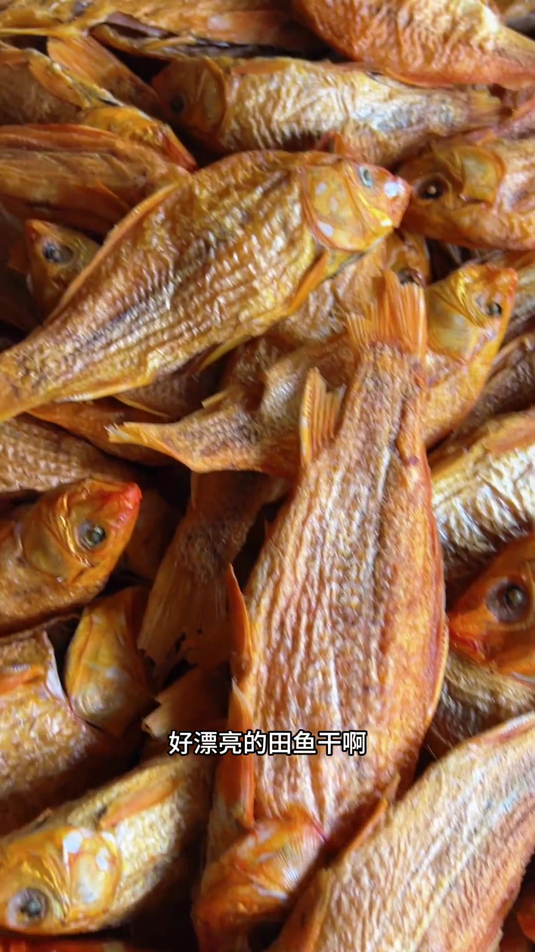 刚刚烤好的田鱼干,又香又鲜又有颜,当零食,红烧随意配