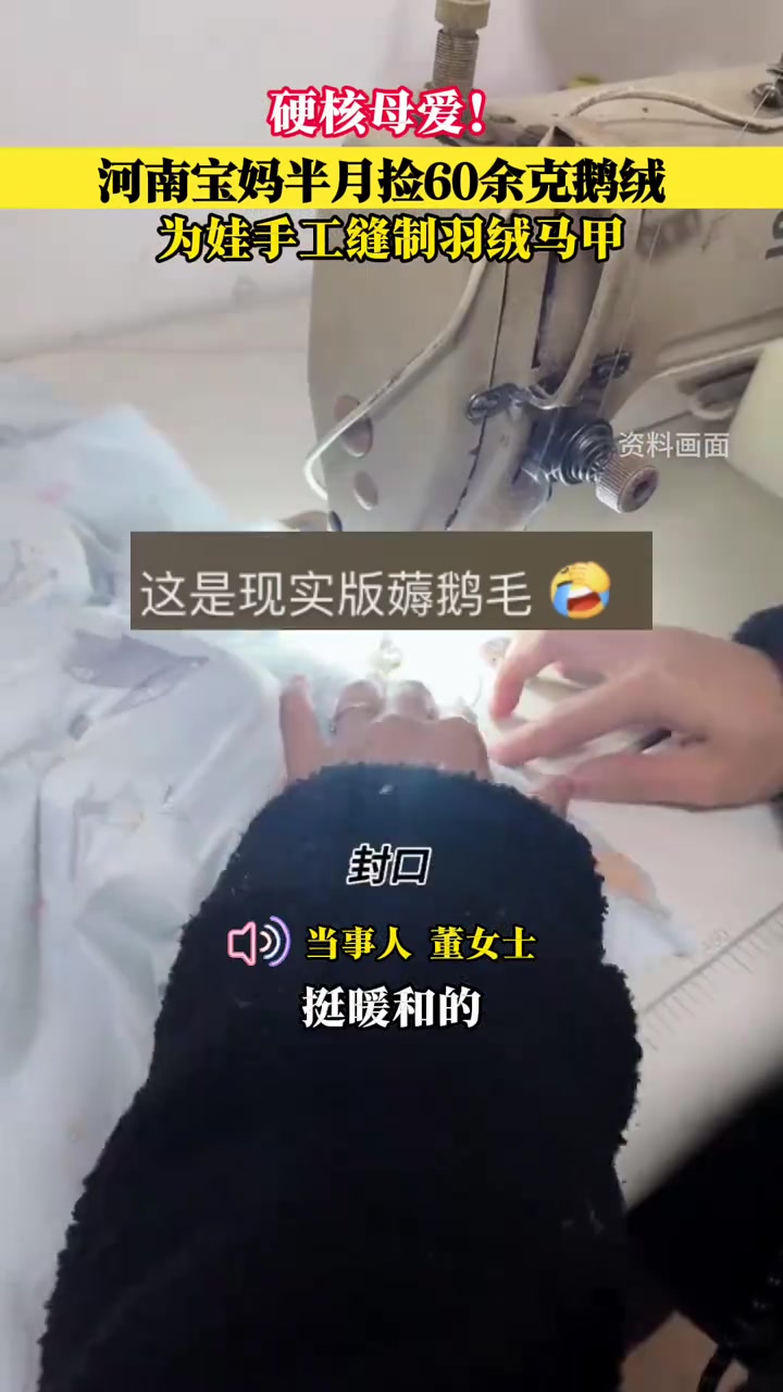 硬核母爱!河南宝妈半月捡60余克鹅绒,为娃手工缝制羽绒马甲