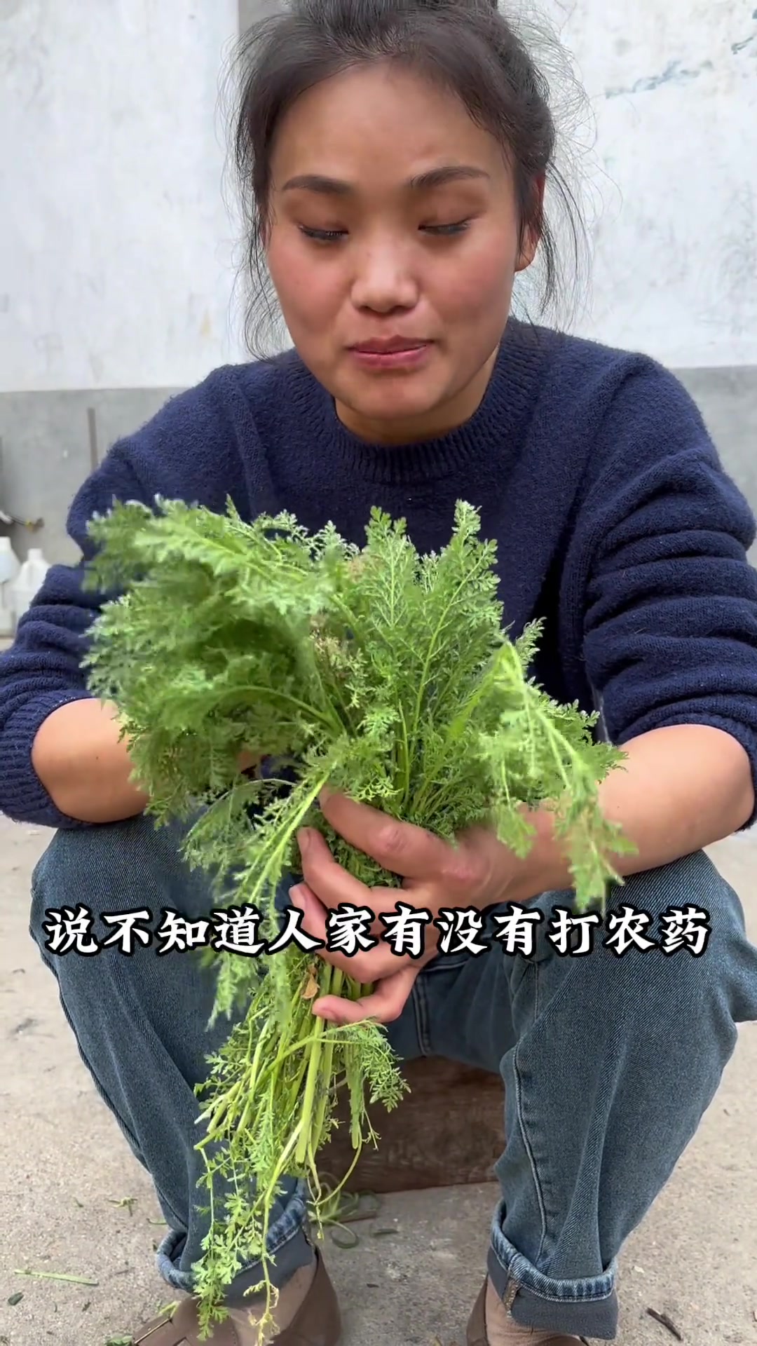春天挖野菜这样做好吃,孩子喜欢,西西担心会中毒