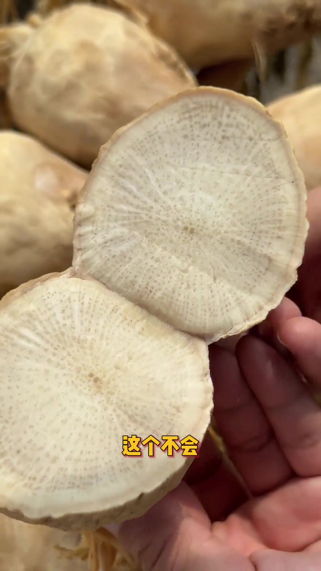 广东鲍鱼吃过吗?现在的大头菜干净卫生不咸,脆嫩香甜